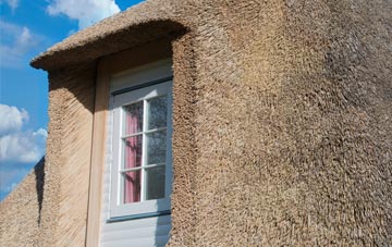 Whitcot thatch roof disadvantages